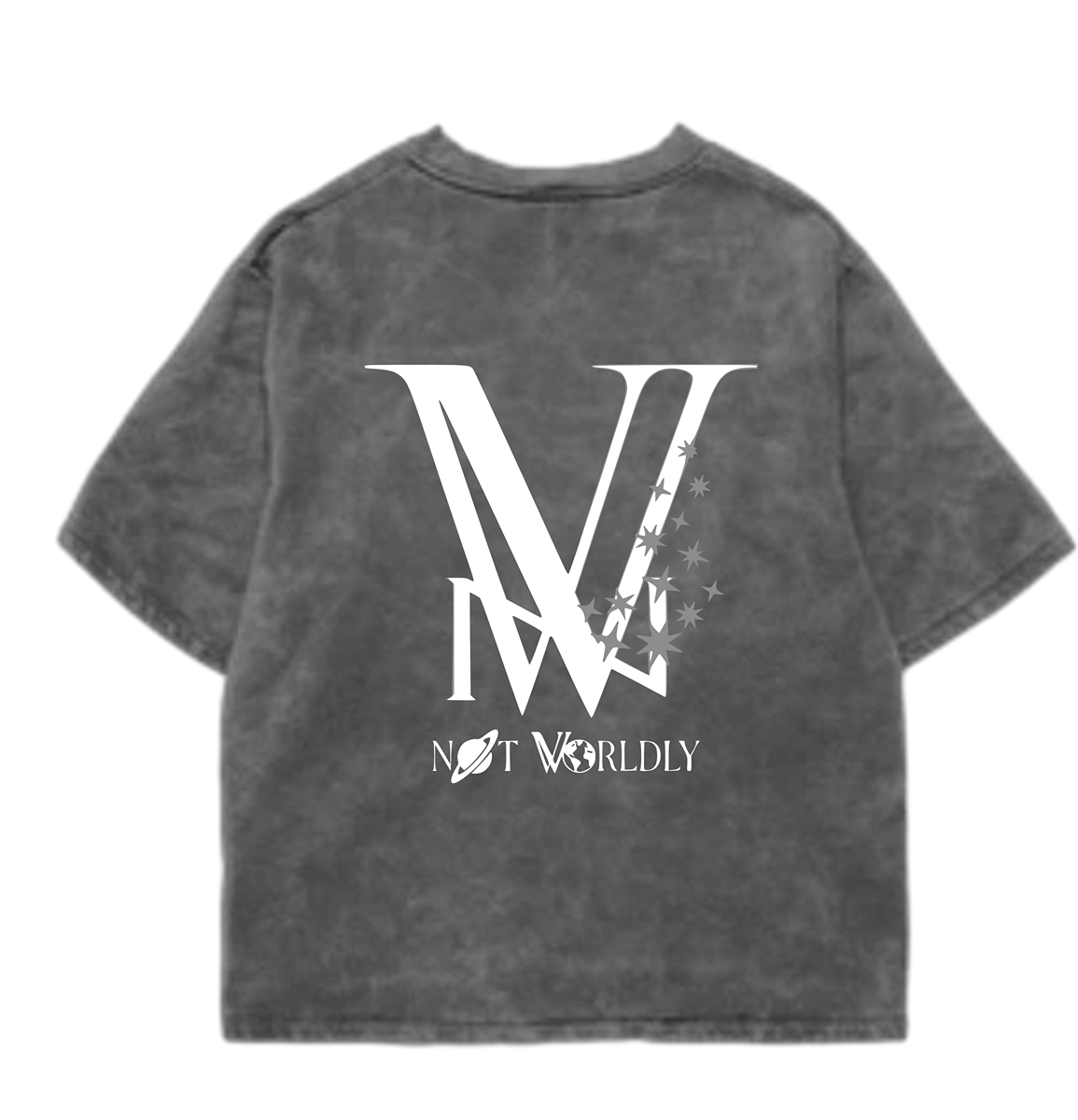 NOT WORLDLY™ Boxy Tee
